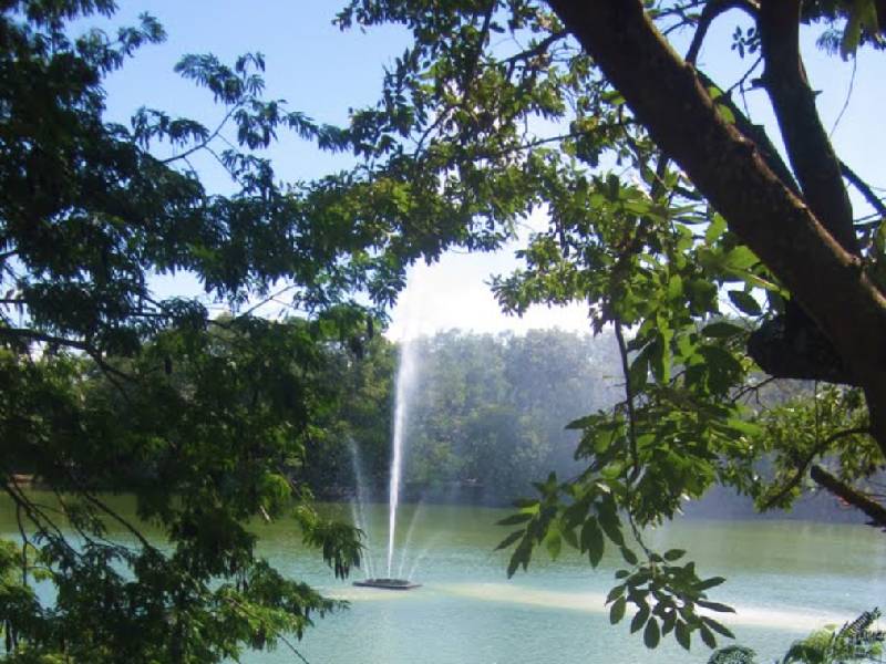 Van por parque ecoturístico en Chetumal