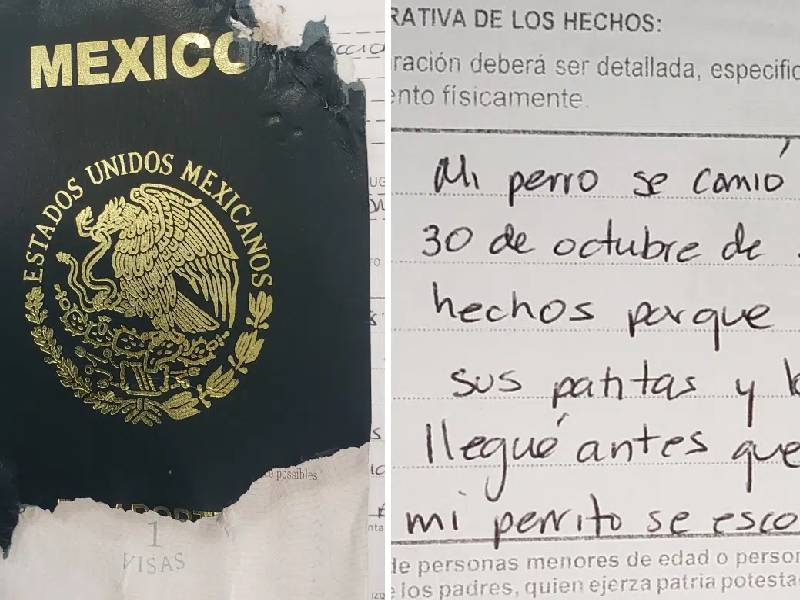 Justifica ante la SRE que su perrito se comió su pasaporte