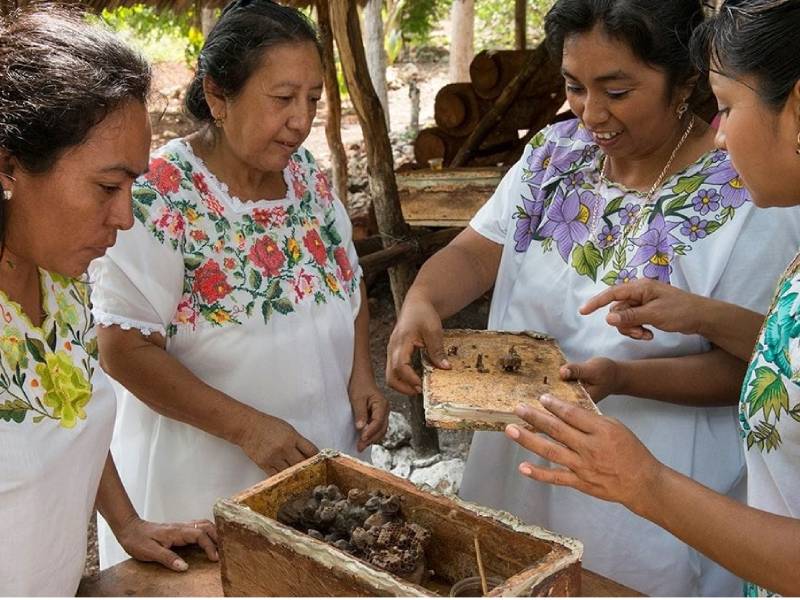 Fondeo para Tierras Mayas