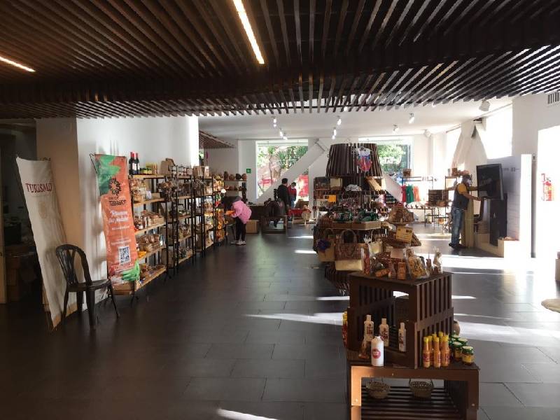 Tabasco en Punto México