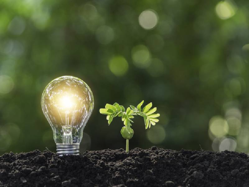 Conoce estos 6 increíbles inventos para cuidar el medio ambiente