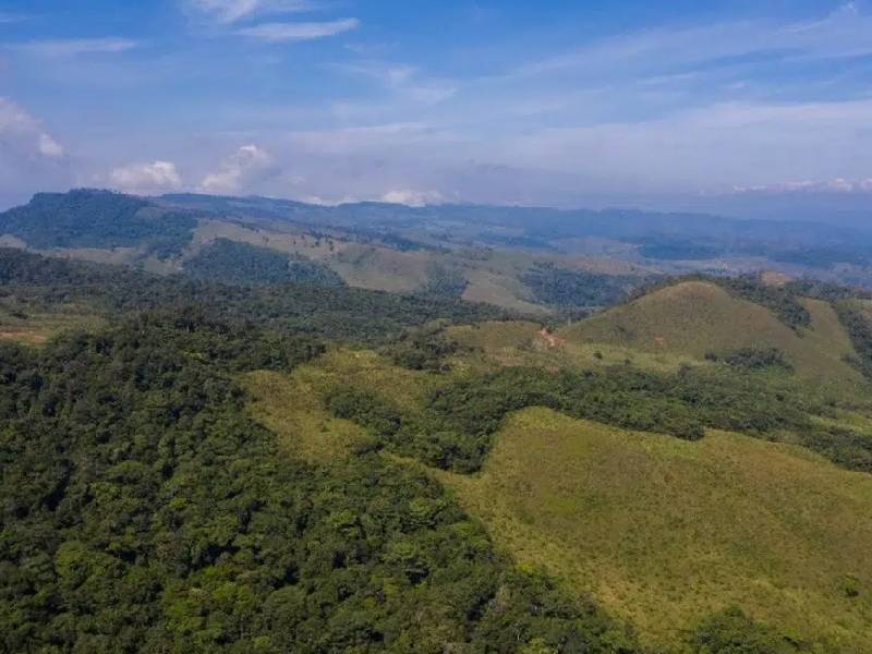 La selva de Chimalapas es de Oaxaca, determina la SCJN