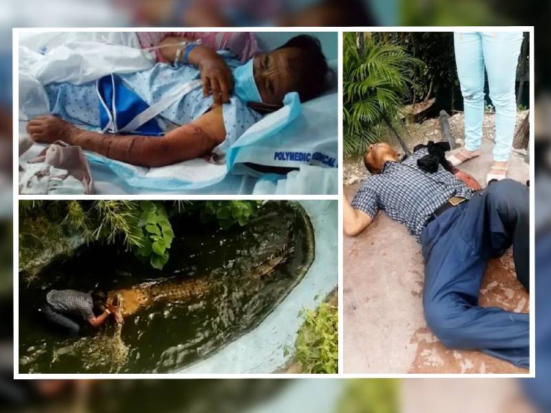 Hombre es atacado por un cocodrilo, creía que era de plástico