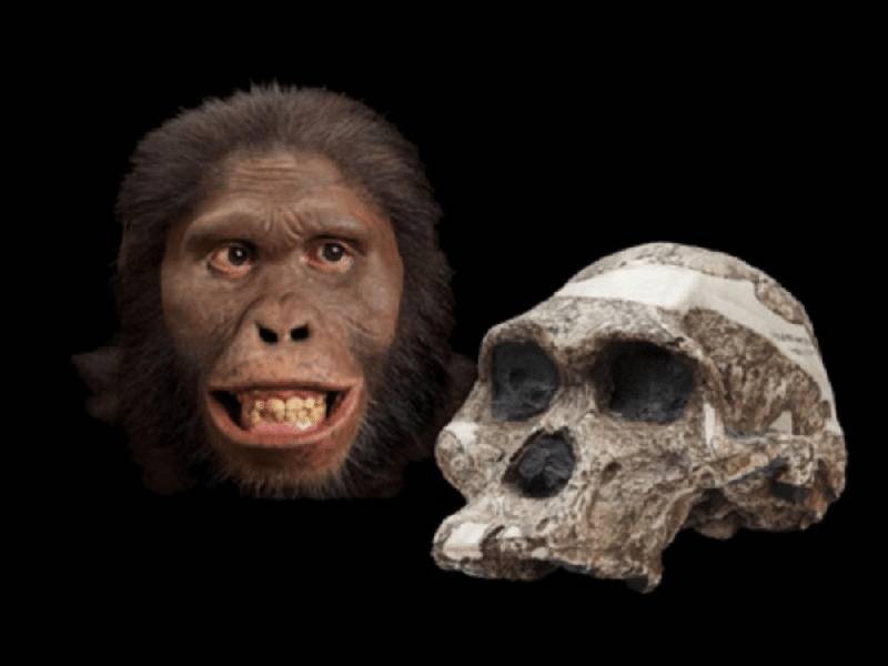 ¿Por qué el 24 de noviembre se celebra el Día de la Evolución?