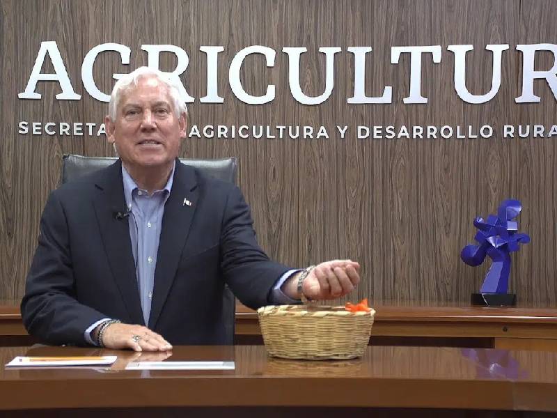 exposición KaÔÇÖkao