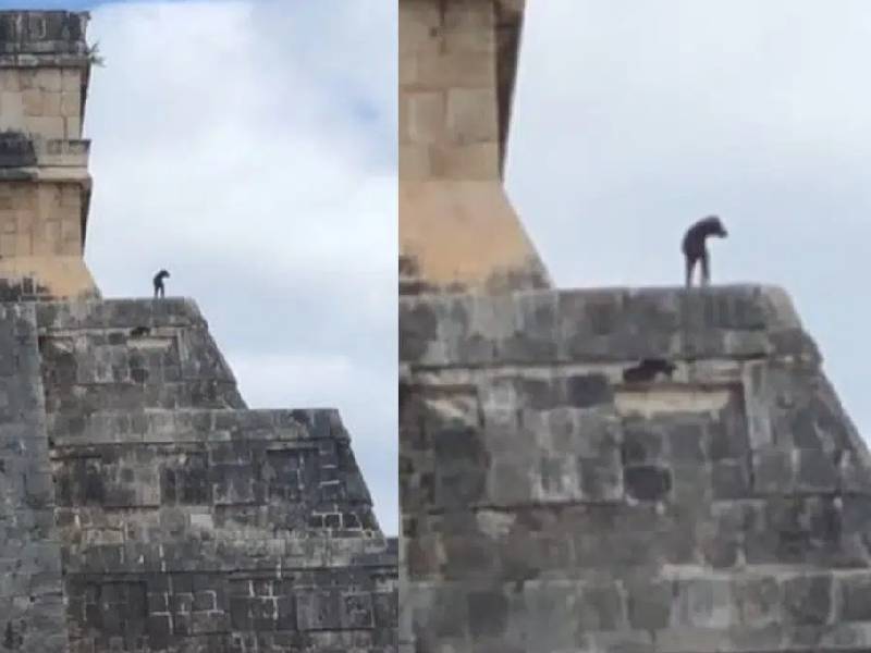 Perrito de Chichén Itzá