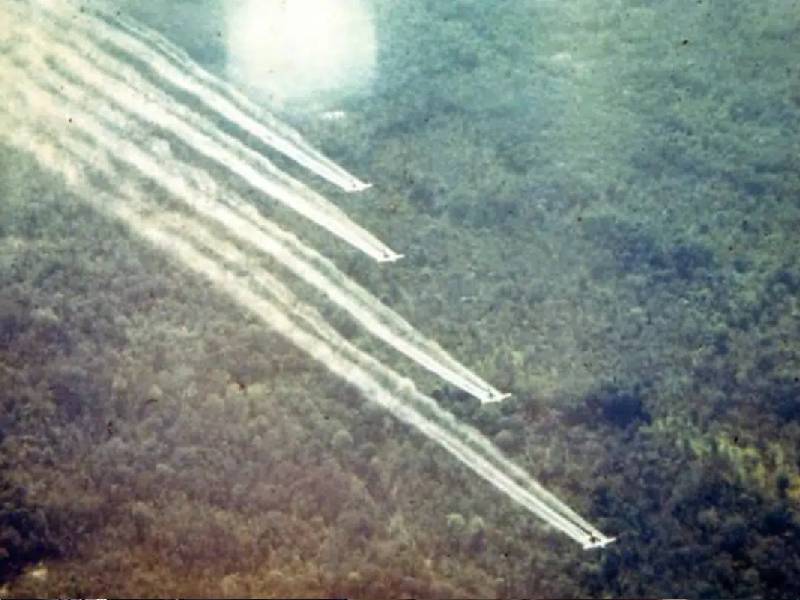 ÔÇ£Agente naranjaÔÇØ el químico que aún envenena la naturaleza de Vietnam