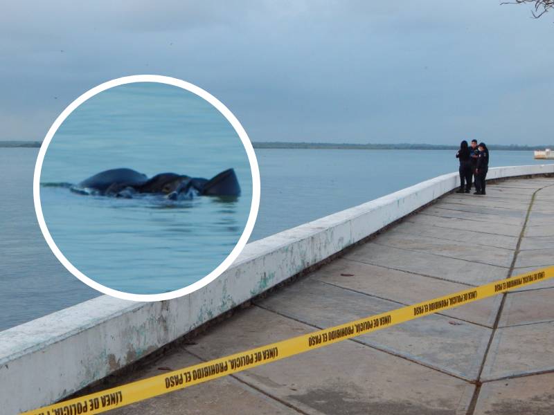Hallan un cuerpo en el mar, frente al Reloj de la Bahía