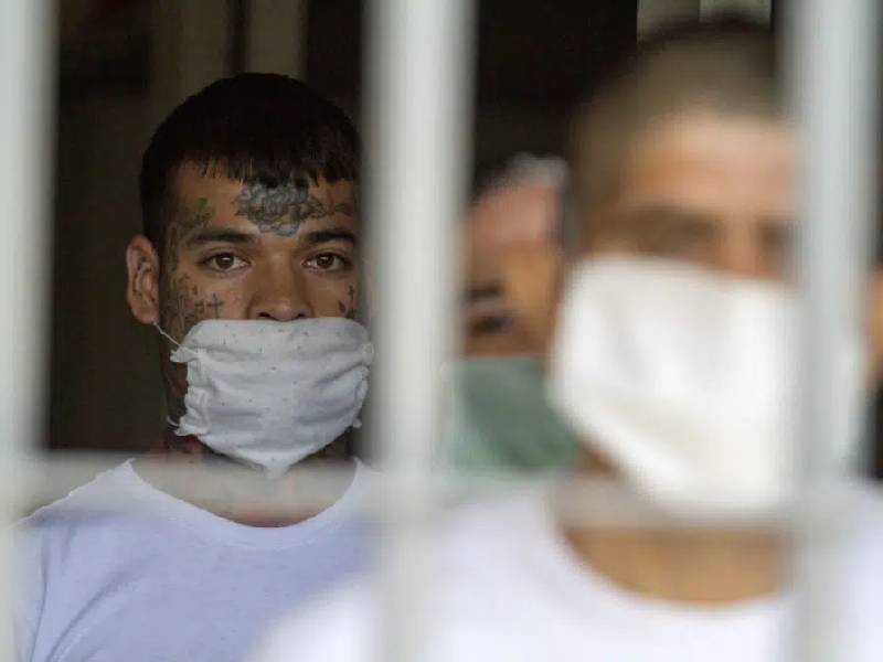 44 reos libres por Ley de Amnistía: Encinas