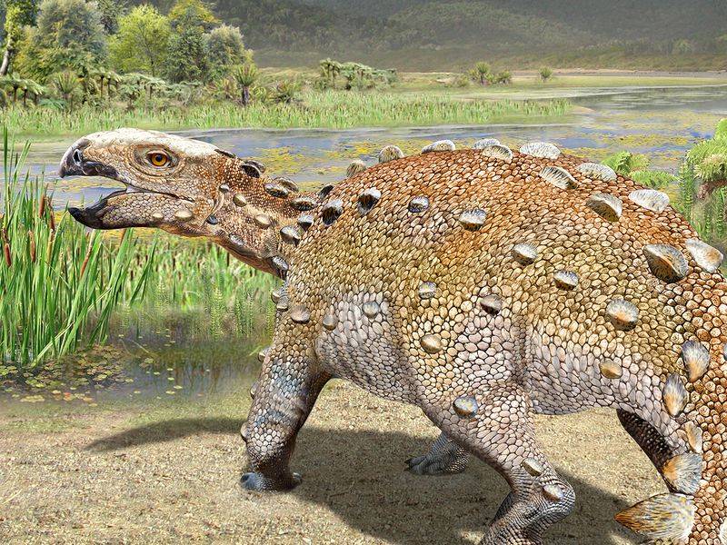 Stegouros