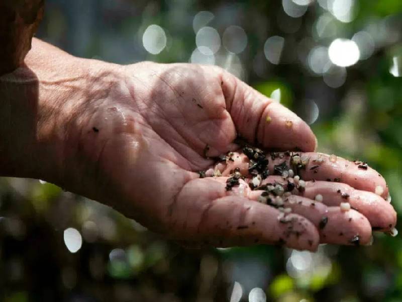 Plásticos, tocar y beber la contaminación