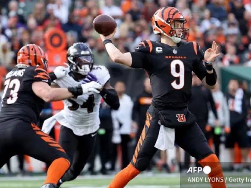 Bengals