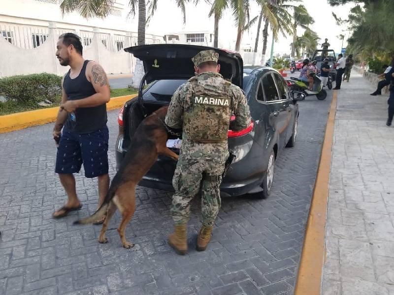filtros de inspección
