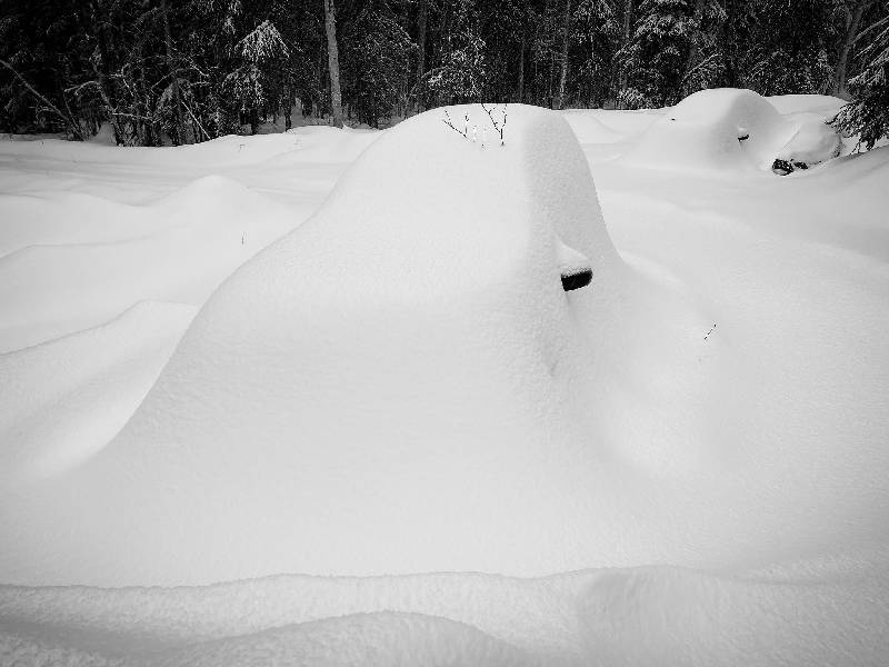 Alaska