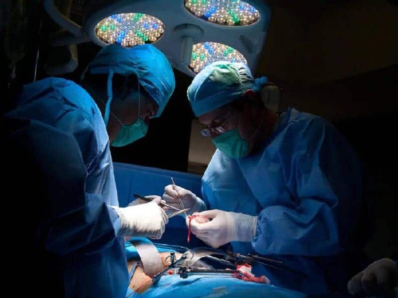 Realizó el IMSS mil 791 trasplantes el año pasado