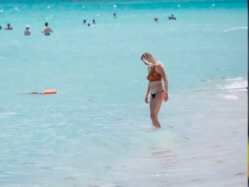 Buscan certificar 4 playas de Solidaridad con distintivo ÔÇ£Bue FlagÔÇØ