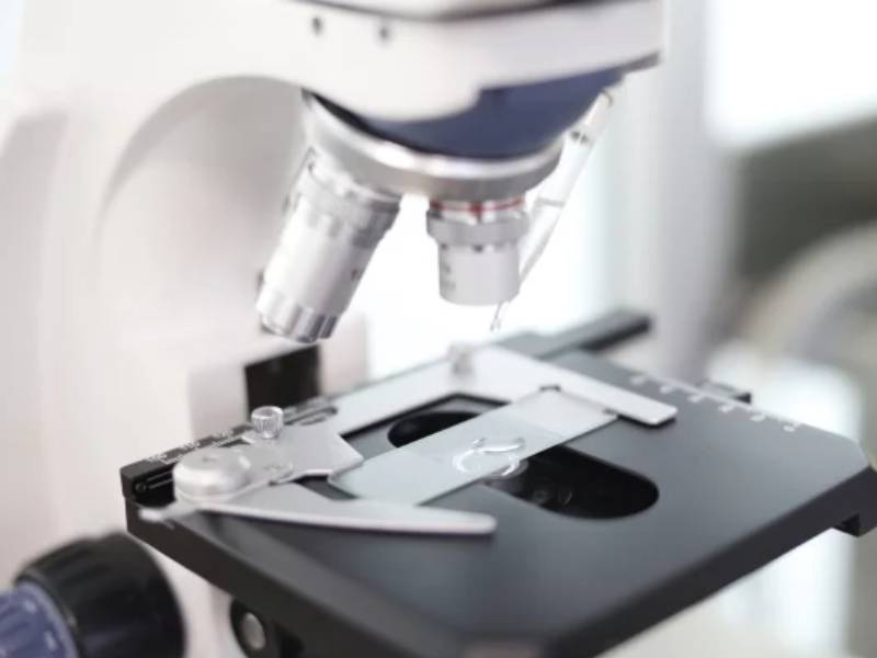 Estudio abre posibilidades para investigar terapias que eviten metástasis de cáncer