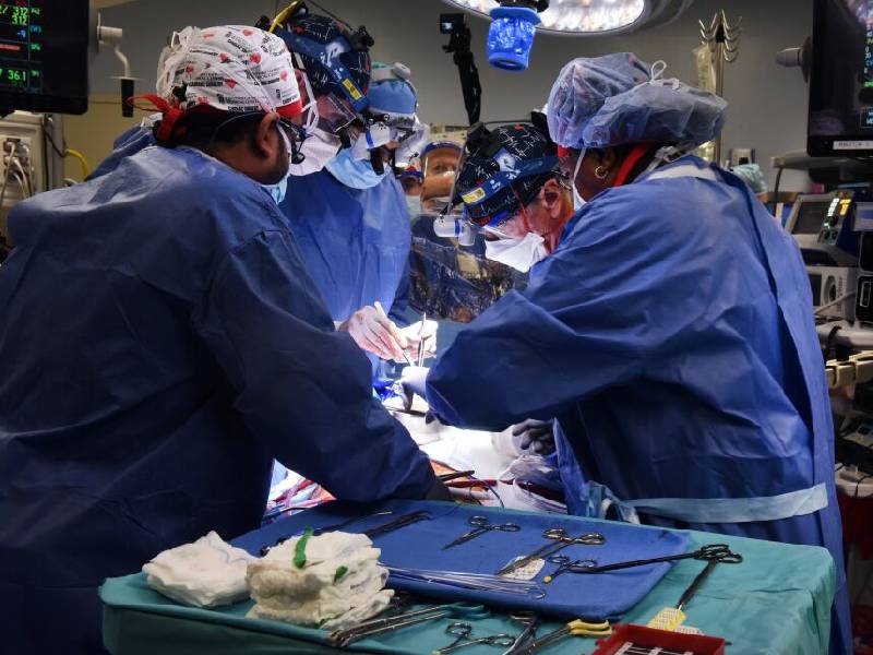 Con éxito trasplantan corazón de cerdo a un humano