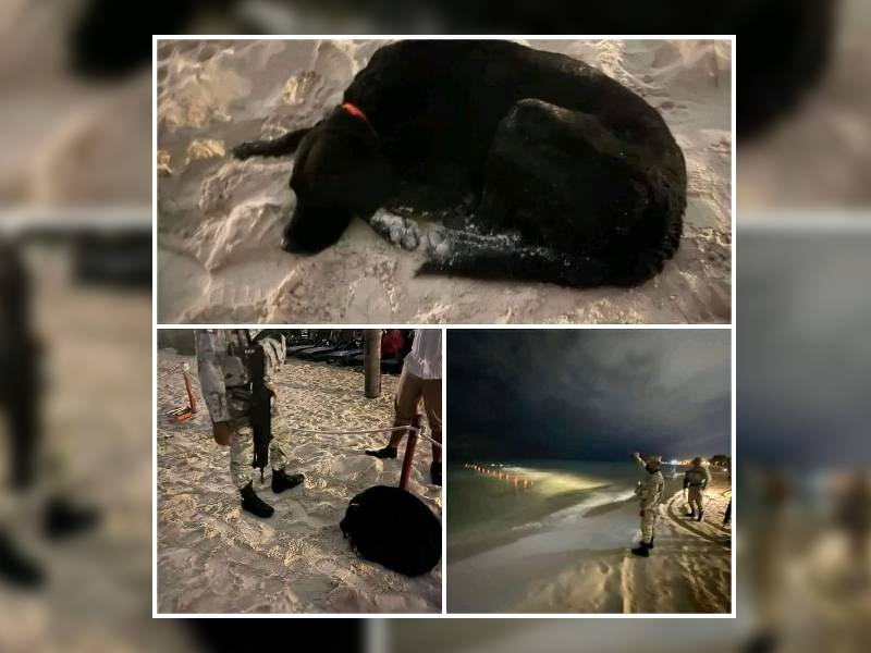 Sujeto se mete al mar se ahoga y su perrito lo sigue esperando