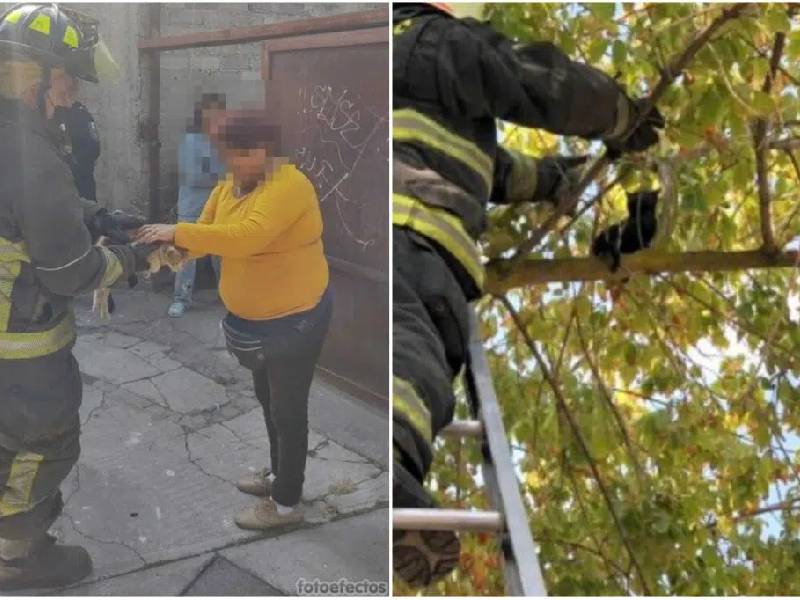Bomberos