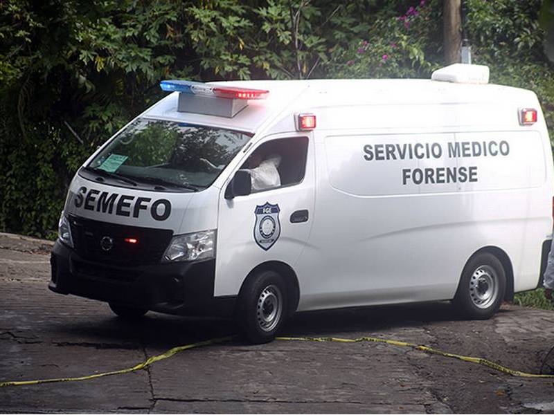tronco de 200 kilos