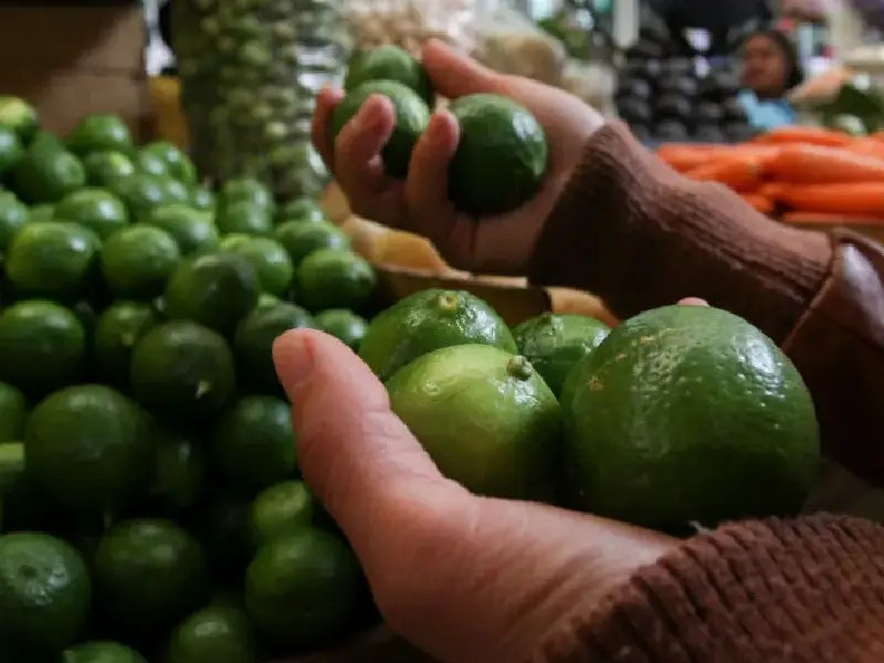 Aumento del limón: por qué ha generado generó un desorden en CDMX