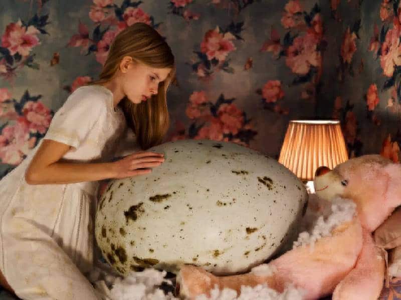 Lanzan tráiler de ÔÇÿHatchingÔÇÖ película de terror que debutará en Sundance
