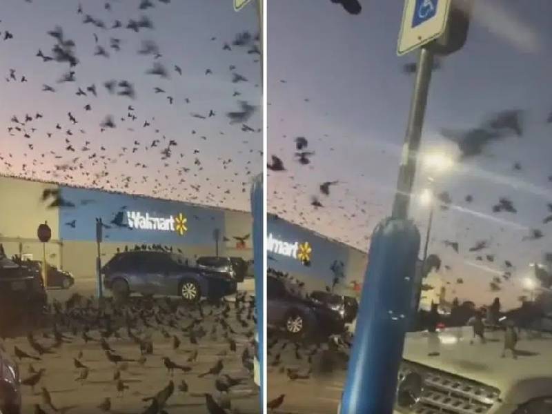 VIDEO. ¡Vendrán cosas peores!: Adal Ramones vive momentos de terror al ir de compras