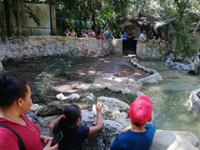 Aumenta aforo en zoológico