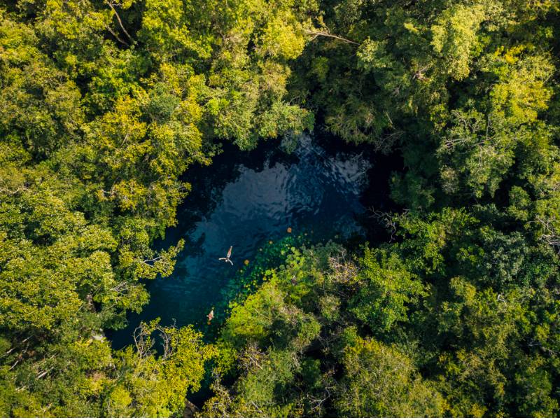 Realizan censo y encuentran 22 cenotes en Cozumel
