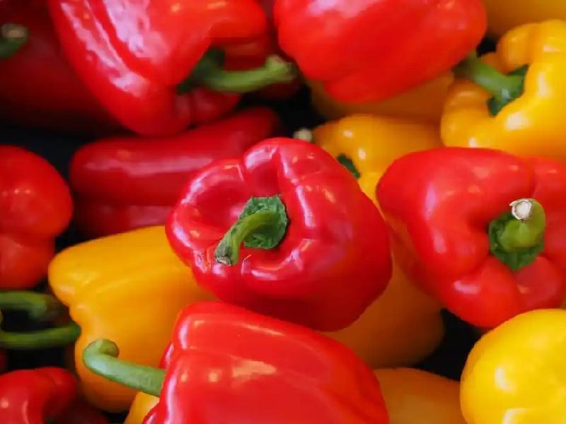 pimiento