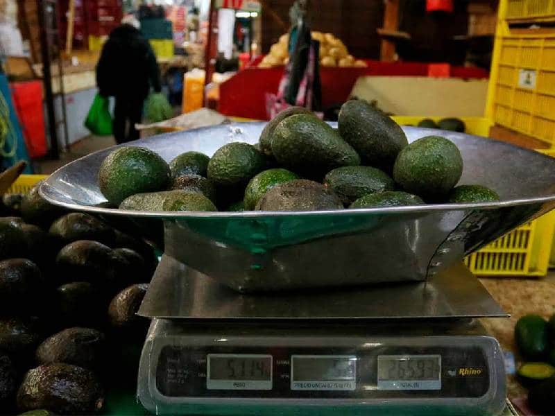 aguacate