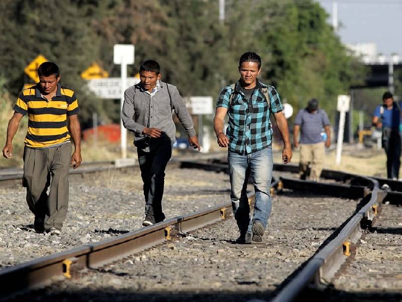 migratorias