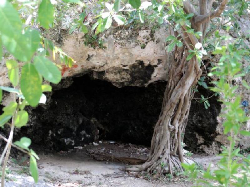 cenote