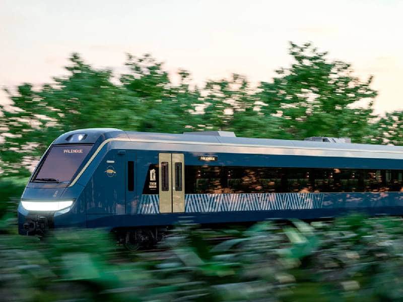 Detecta ASF daños por 38.7 en Tren Maya