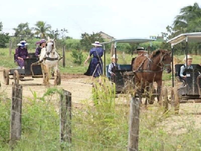 daños ambientales