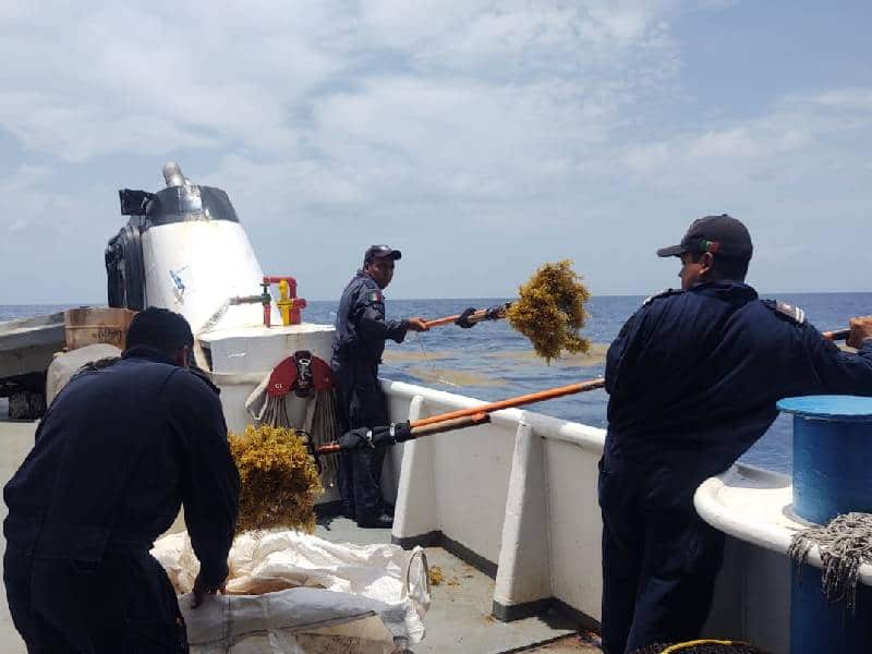 Quintana Roo se prepara para afrontar la temporada de sargazo