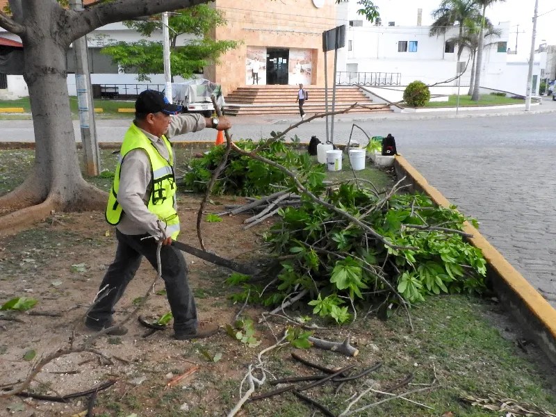 Van por rescate de espacios y áreas verdes