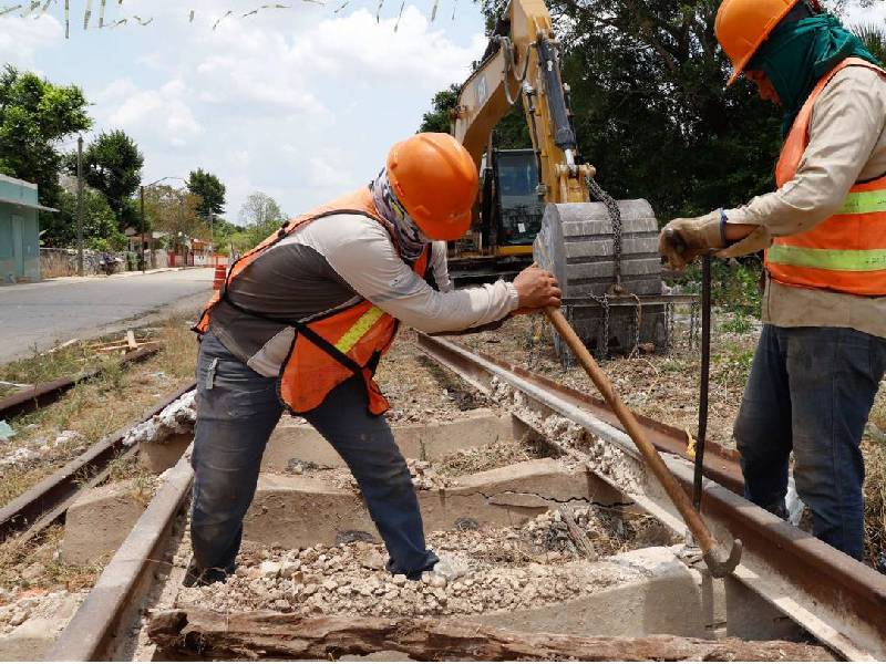 Tramitan primera quejas por deforesatción del Tren Maya