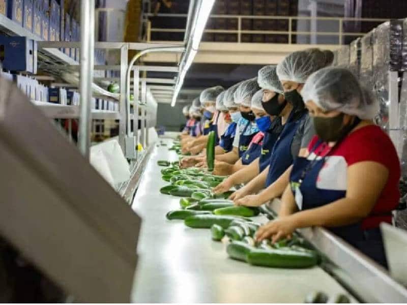 Lidera Q.Roo en productividad laboral en comercio