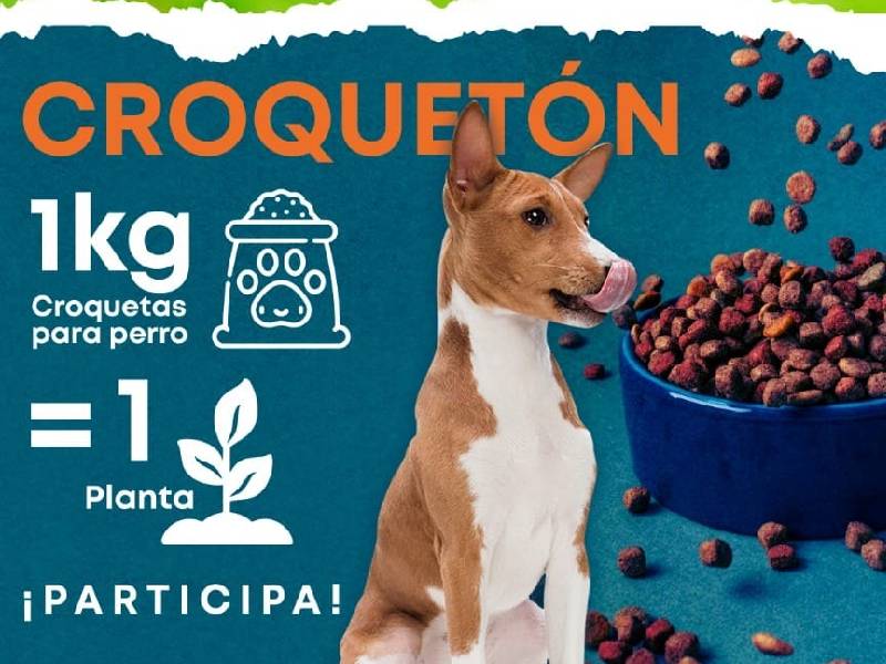 Realización de ÔÇ£CroquetónÔÇØ y programa de ÔÇ£Kilo VerdeÔÇØ
