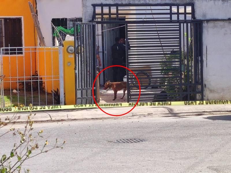 fraccionamiento de Cancún
