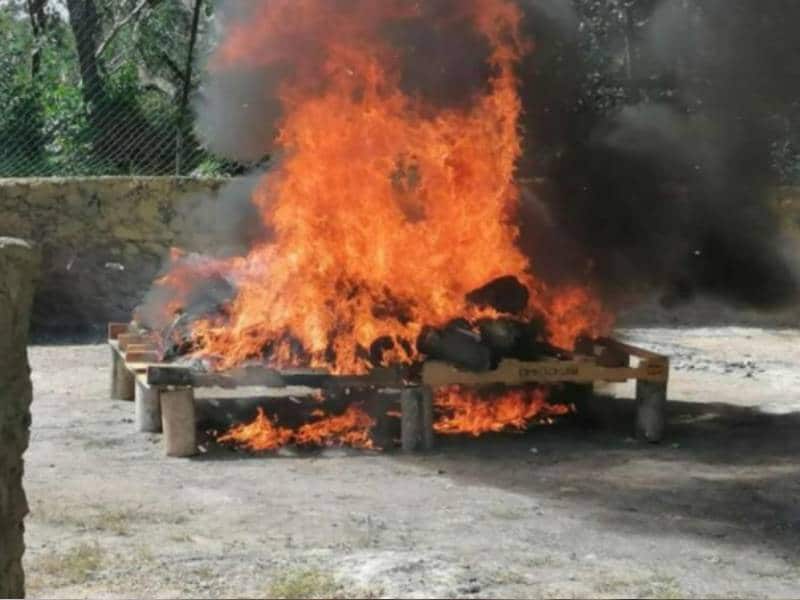 Incineran narcóticos por la FGR y Sedena
