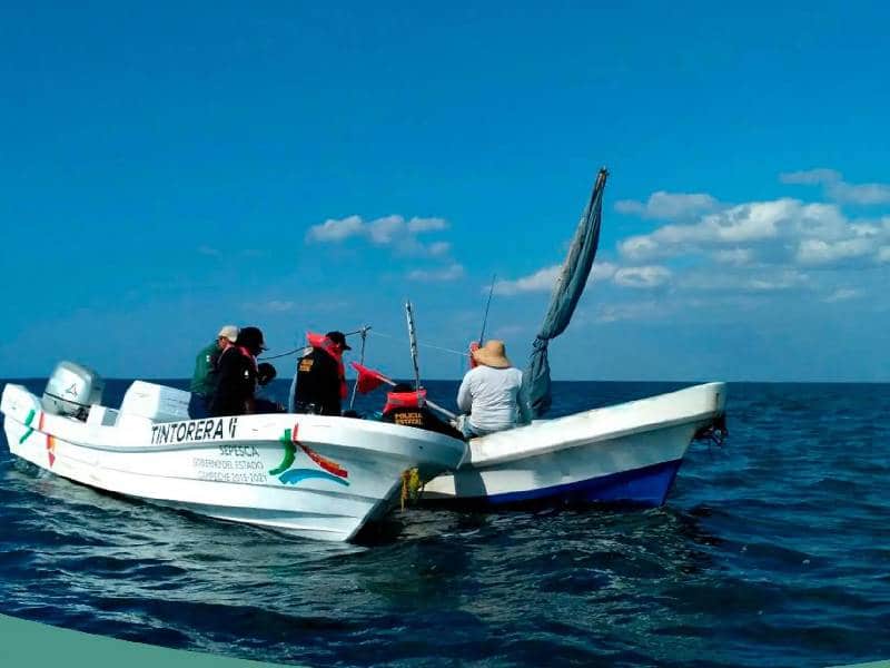 SAT Cancún registra problemas en su sistema