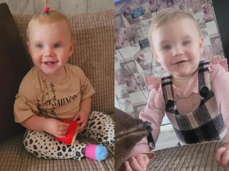 Familia compra un perro, una semana después este ataca a su bebé