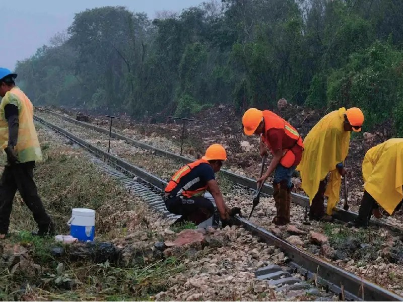 Se ejecutan grandes acciones ambientales