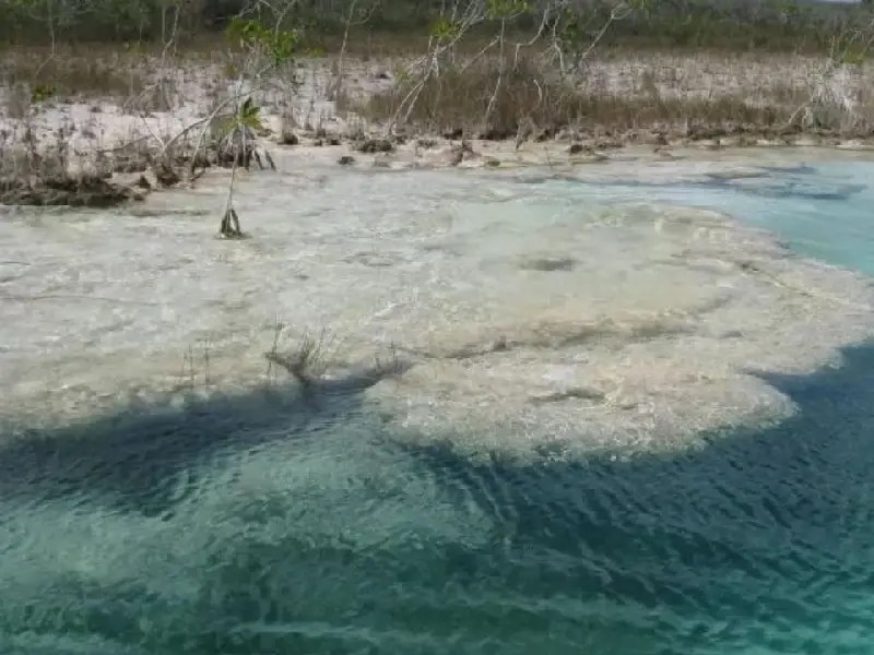 Microbialitos de Bacalar, deteriorados por turismo