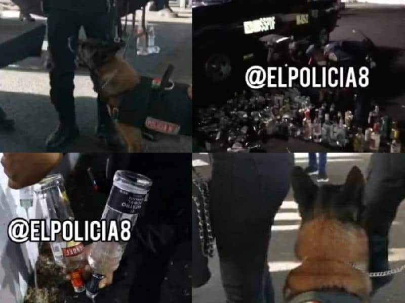 Policías destruyen botellas de alcohol decomisadas en concierto de Grupo Firme