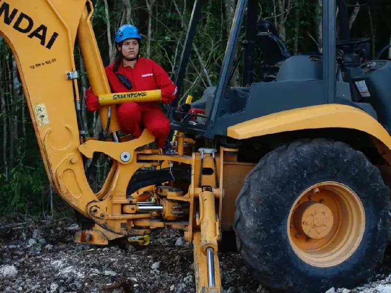 Greenpeace llama a proteger la selva maya