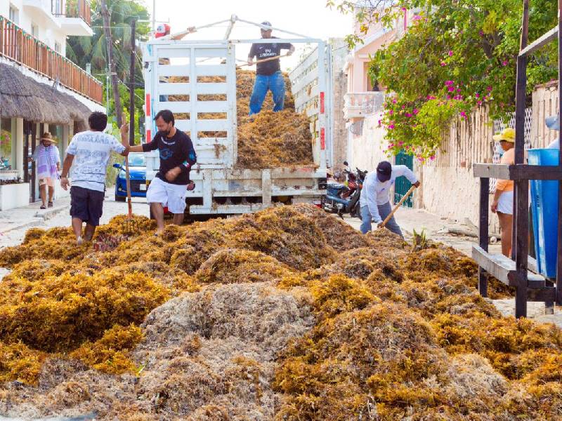Se fortalece la limpieza de playas en Isla Mujeres
